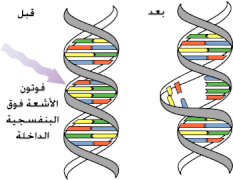 كمية الاشعة فوق البنفسجية