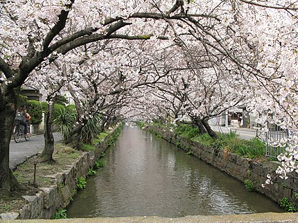 八尾市の有名地