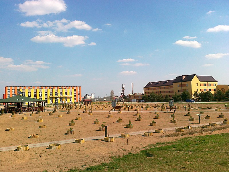 File:Żółty Biały Bór - panoramio.jpg