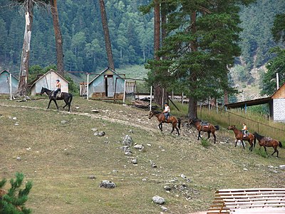 Конная прогулка в Архызе