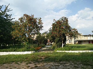 Меморіал воїнам визволителям та могила загиблих солдатів (Охоронний номер: 1421 Рік: 1958 № рішення про взяття на державний облік: № 442 від 29.09.1969 р)