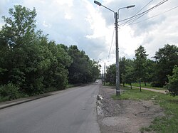Улица Маршала Мерецкова (Санкт-Петербург) - вид от Петергофского шоссе. Справа - парк Новознаменка