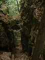 张家界国家森林公园-小径通幽 - panoramio.jpg