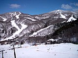 Shiga Kogen Ski resort, Nishitateyama and Higashitateyama