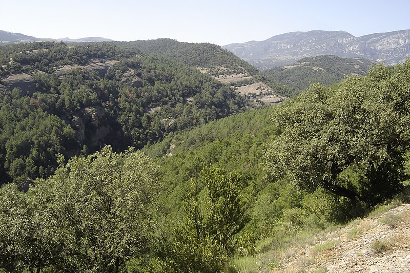 File:016-Aigüesjuntes-Camí de baixada.JPG