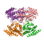 Thumbnail for (R,R)-butanediol dehydrogenase