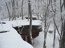 Winter. Palatinate Forest Nature Park. 2010 Pfalz 016.jpg