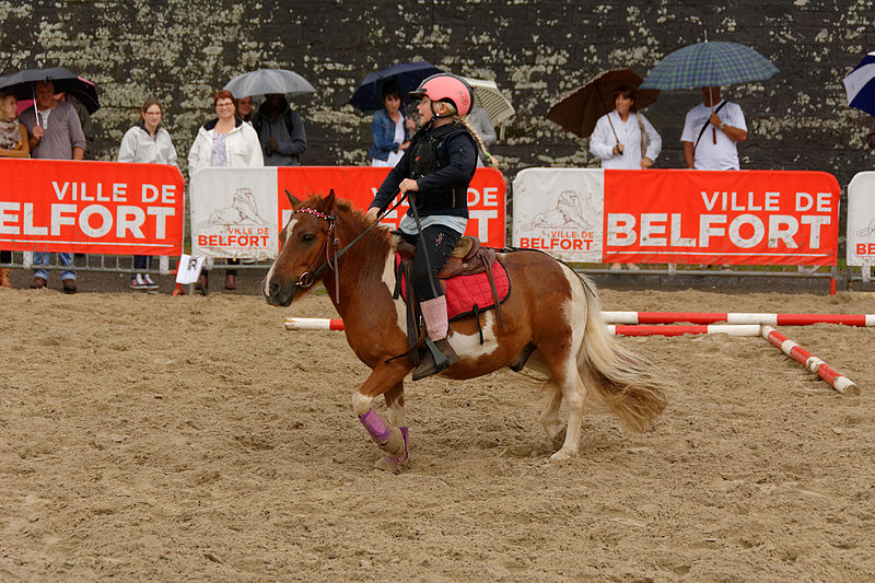 File:2015-08-23 16-15-20 rallye-equestre.jpg