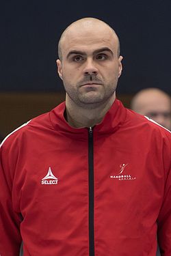 20170112 Handball AUT CZE 5439.jpg