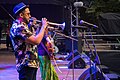 Deutsch: Rupa & The April Fishes auf dem Rudolstadt-Festival 2017. English: Rupa & The April Fishes at Rudolstadt-Festival 2017.