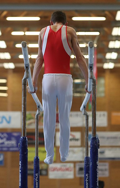 File:2019-04-13 Rheintalcup P6 Junior Switzerland competition parallel bars (Martin Rulsch) 244.jpg