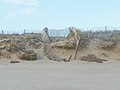 Le recul de la dune entre l'Île-Tudy et Sainte-Marine après les tempêtes de début janvier 2014 1.