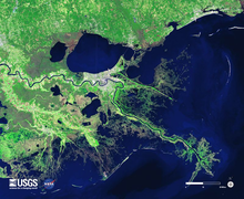 Satellite image of the Mississippi delta
