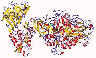 <span class="mw-page-title-main">Alternansucrase</span> Enzyme