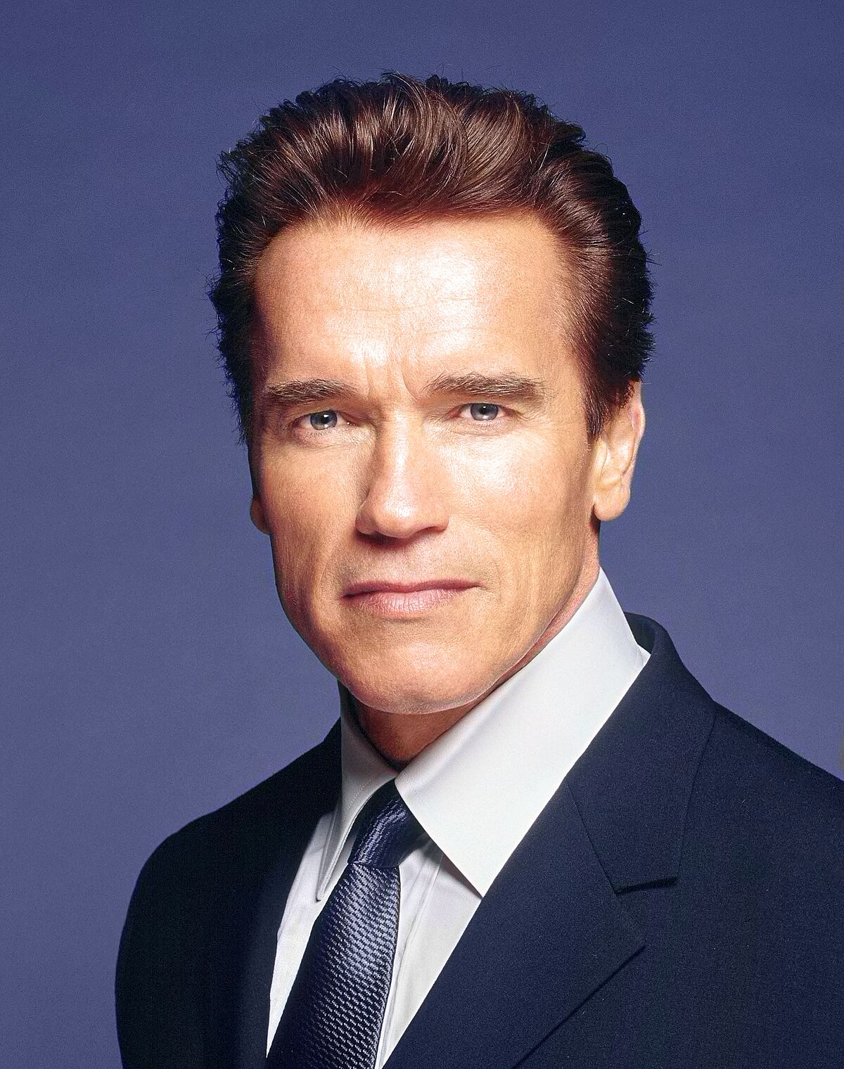 Political career of Arnold Schwarzenegger - Wikipedia