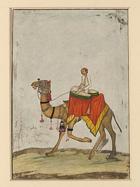 A painting of a man sitting on a camel and playing the drums