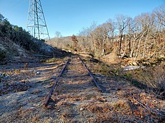 Abandoned Palmertown Branch track (5), December 2022.jpg