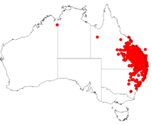 Acacia leiocalyxDistMap523.png