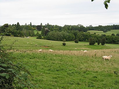 How to get to Bredenbury with public transport- About the place