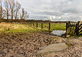 Afrastering om natuurgebied. Locatie, natuurgebied Delleboersterheide – Catspoele.