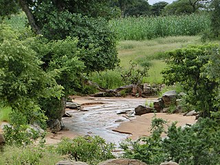 <span class="mw-page-title-main">Wildlife of Sudan</span> Native fauna and flora of Sudan