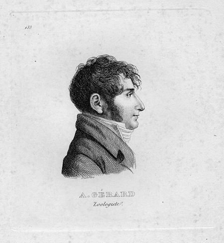 Alexandre Gérard.jpg