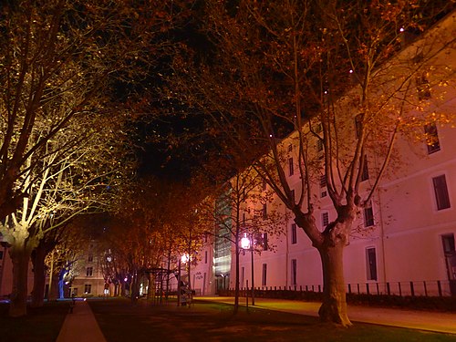 Alley of plane trees in front of the Contemporary Art Muséum of Montélimar