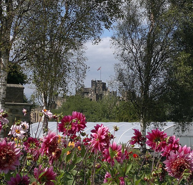 File:Alnwick Castle from the Roots and Shoots Garden - geograph.org.uk - 3067334.jpg
