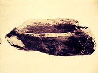 Фрагмент от каменна брадва (наконечник)
