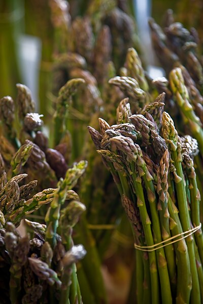 File:Asparagus (2552865406).jpg