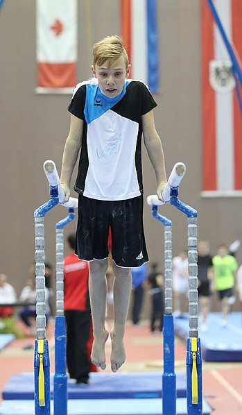 File:Austrian Future Cup 2018-11-23 Training Afternoon Parallel bars (Martin Rulsch) 0408.jpg