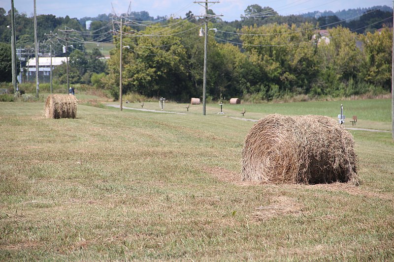 File:Bales of hay, Tellico Plains, Sept 2019.jpg