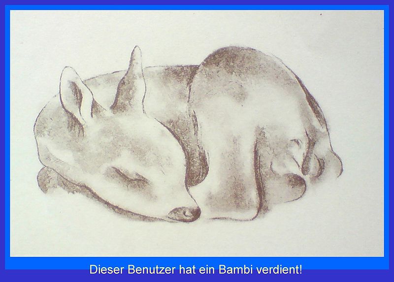 File:Bambi (1).JPG