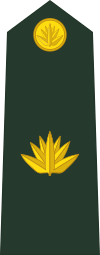 Bangladesh-army-OF-3.svg