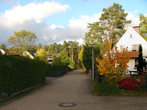 Baumheide03