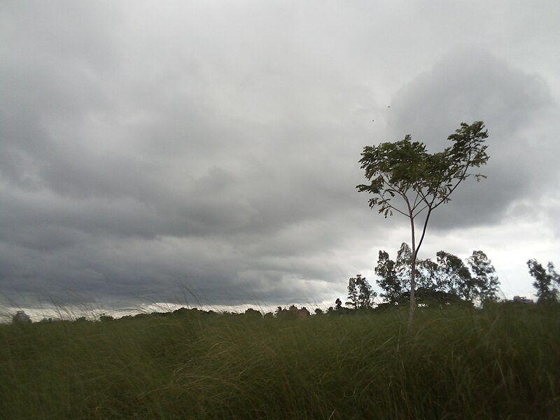 File:Beautiful weather and amazing nature. 2.jpg