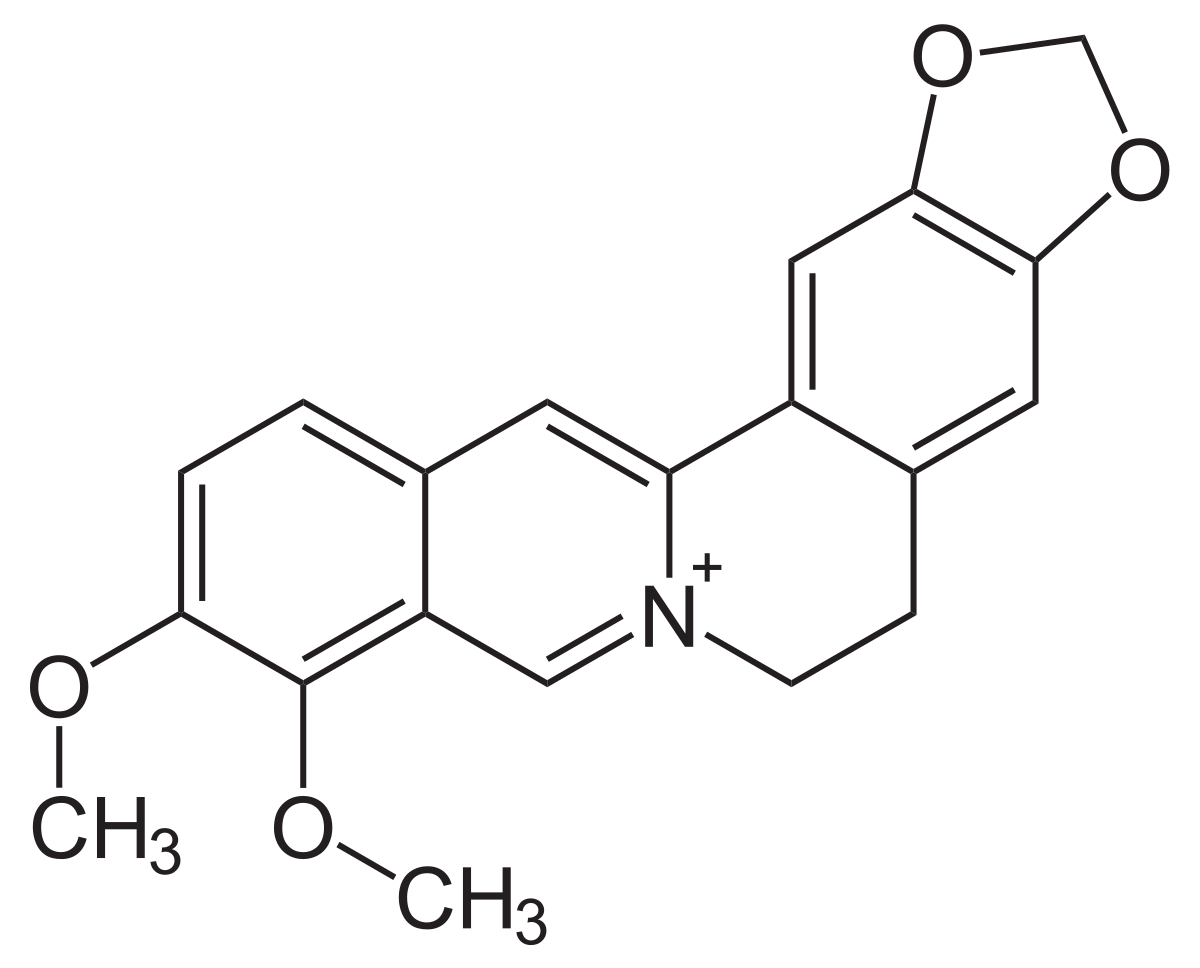 Berberin (molekul) - Wikipedia
