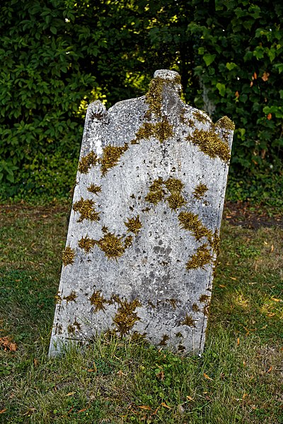 File:Berden St Nicholas churchyard 10 Henry Trigg, murdered parish constable.jpg