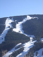 Birds of Prey (ski course)