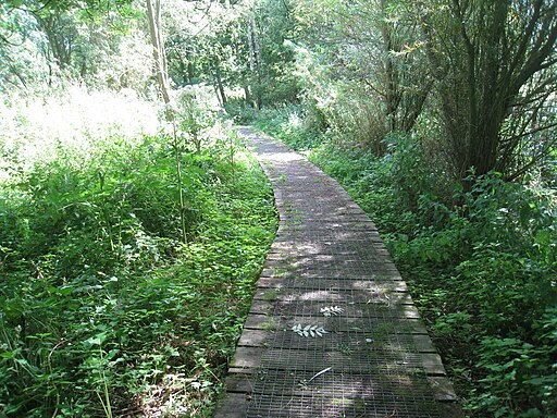 Boardwalk on the Viking Way - geograph.org.uk - 3091182