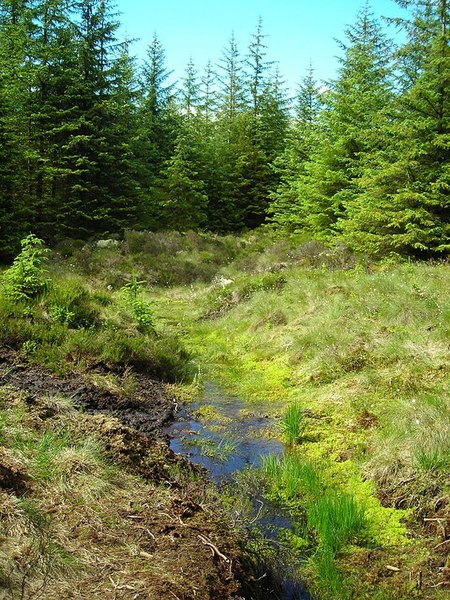 File:Boggy Drainage Ditch in Whitelee Forest - geograph.org.uk - 480652.jpg