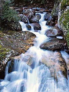 Ruisseau de Nocaghia