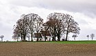 Borchen - 2016-11-19 - Chapel of the Hilligen Seele (14) .jpg