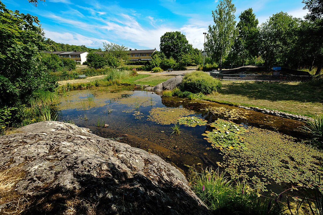 Borgmästare Skyttes park