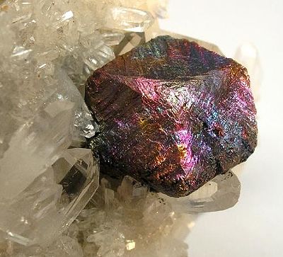 A specimen consisting of a bornite-coated chalcopyrite crystal nestled in a bed of clear quartz crystals and lustrous pyrite crystals. The bornite-coated crystal is up to 1.5 cm across.