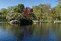 * Nomination Boston Public Garden Pond. --King of Hearts 01:52, 6 October 2021 (UTC) * Promotion  Support Good quality. --XRay 02:43, 6 October 2021 (UTC)