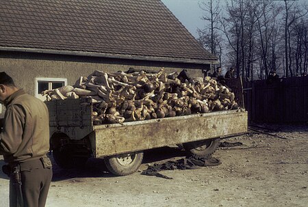 ไฟล์:Buchenwald_Corpses_60623.jpg