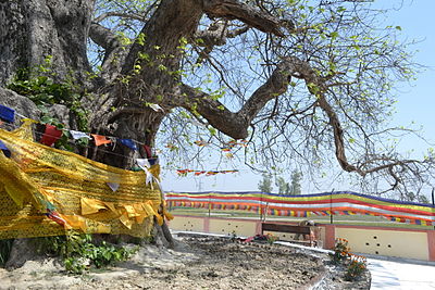Buddha relic distribution site