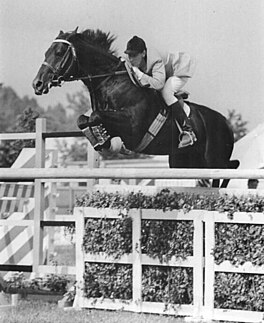 <span class="mw-page-title-main">Gennady Samosedenko</span> Russian equestrian (1942–2022)