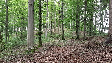 Burg Törring Vorburg